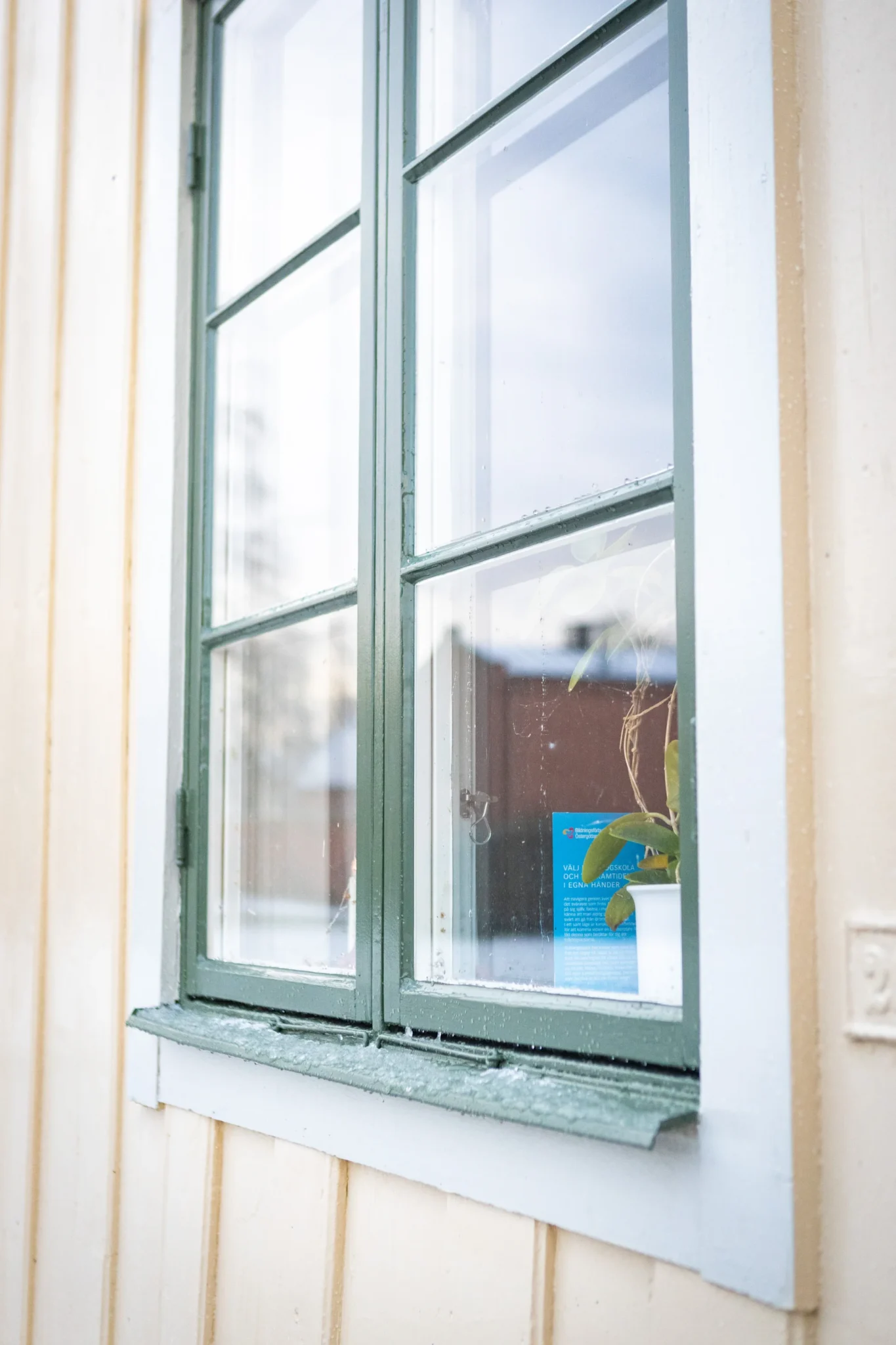 En närbild av ett grönt ramat fönster på en krämfärgad trävägg, som visar en krukväxt och en blå bok på fönsterbrädan inuti. Fönstret reflekterar himlen och närliggande byggnader.